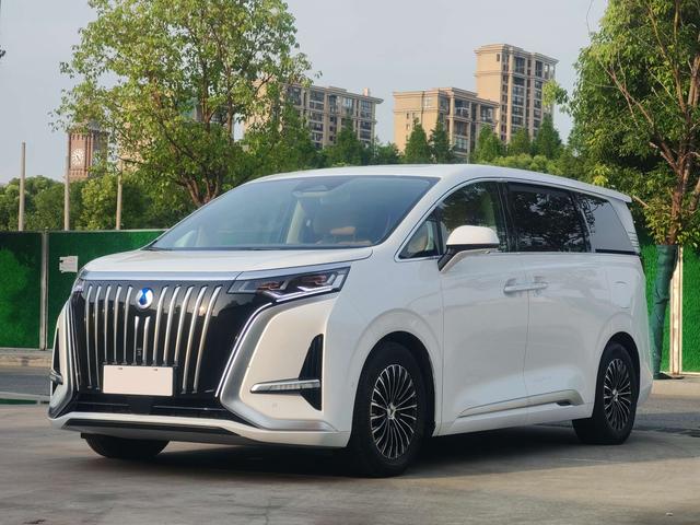 Tengsten D9 EV 2022 600 4WD Flagship