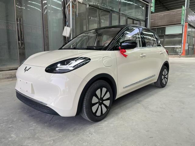 Wuling Bingguo 2025 Model 333KM Yuexiang Model