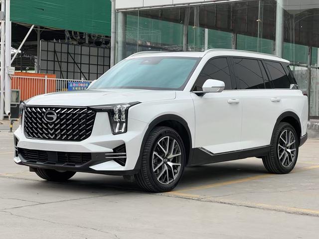 Trumpchi GS8 2024 Pilot Series 2.0 TGDI two-wheel drive luxury Smart Edition
