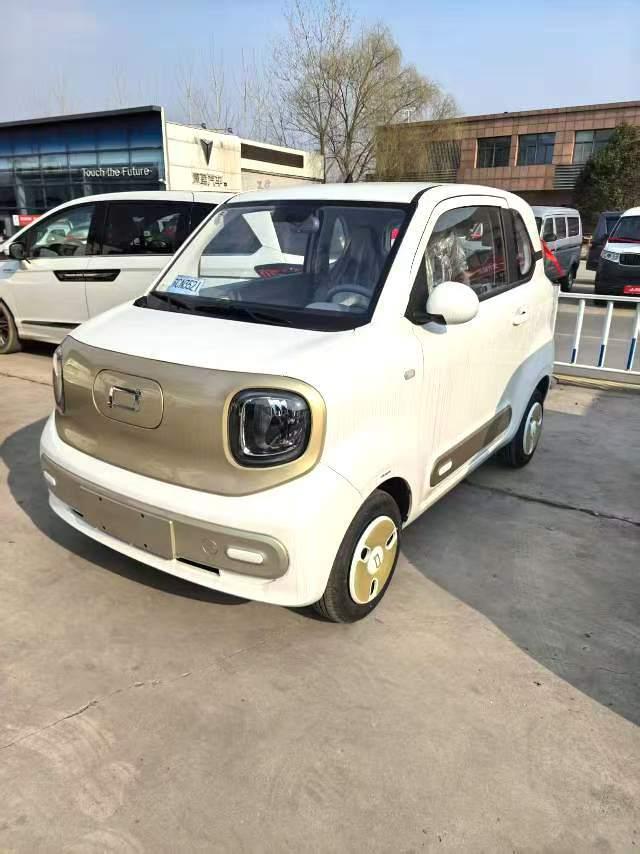 Pentium Pony 2024 222km Smart Horse