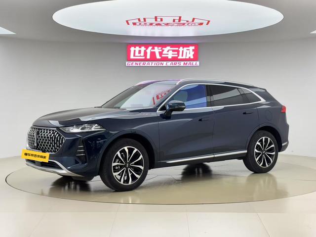 Mocha 2021 2.0T four-wheel drive special alcohol version
