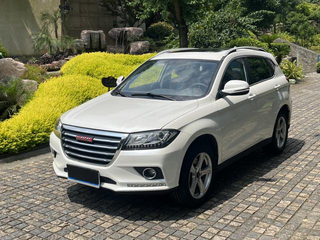 Haval H2 2018 Creative Edition Red Label 1.5T manual two-wheel drive fashion type