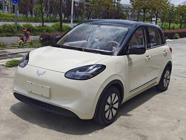 Wuling Bingguo 2025 Model 333KM Yuexiang Model