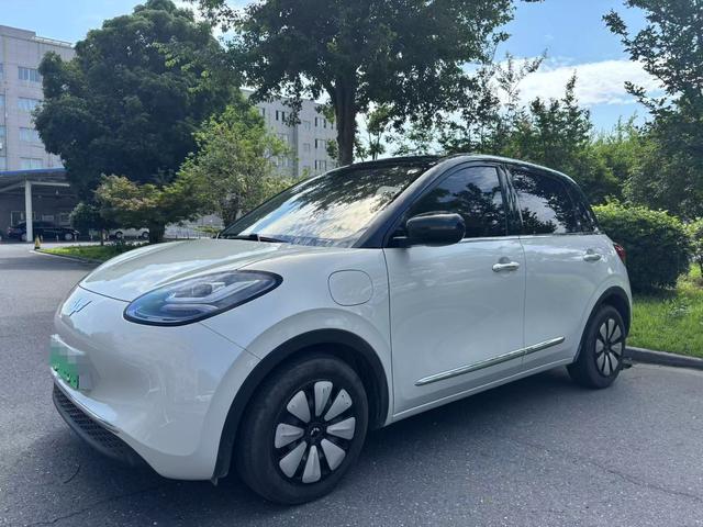 Wuling Colorado 2023 333KM Express