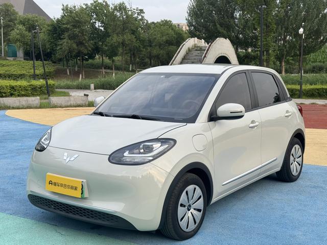 Wuling Colorado 2023 333KM Yuexiang Model
