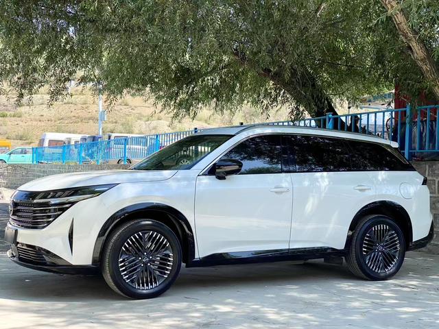 Tanlu 2024 380VC-TURBO four-wheel drive Zhizun Edition six-seater
