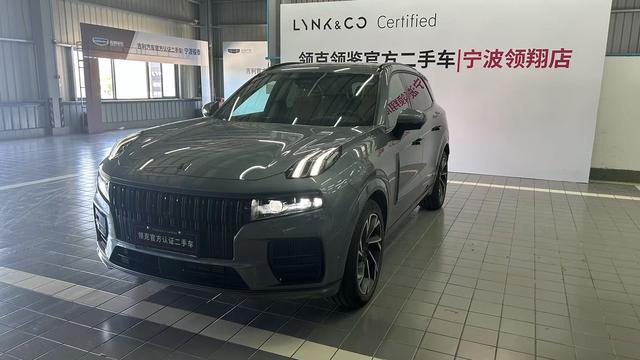 Link 09 2021 2.0T Halo Six-Seater