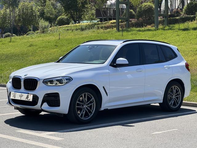 BMW X3 2019 xDrive25i M Sport Package