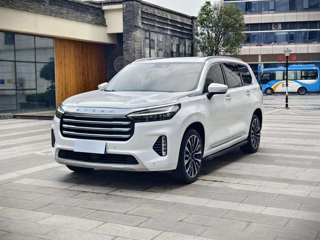 Xingtu Lanyue 2021 390T two-wheel drive Xingrui long battery life version