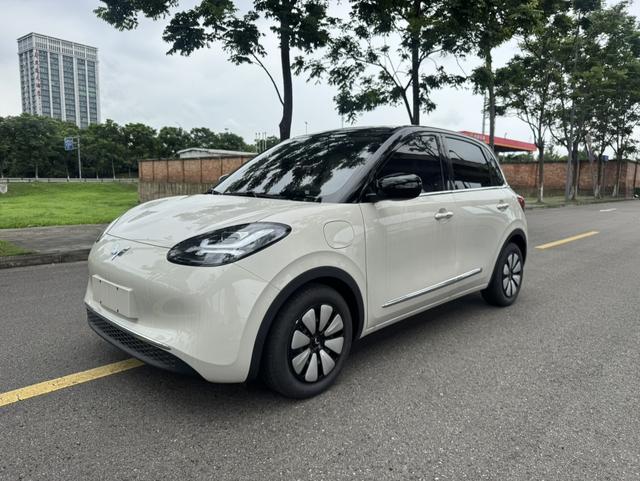 Wuling Bingguo 2025 Model 333KM Yuexiang Model