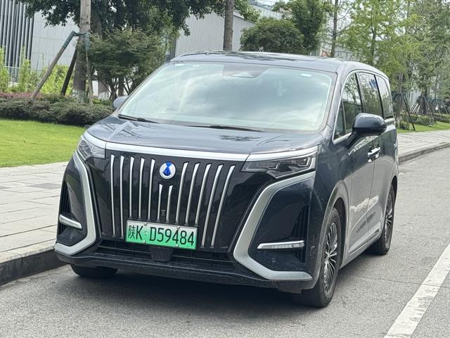 Tengsten D9 EV 2022 600 4WD Flagship