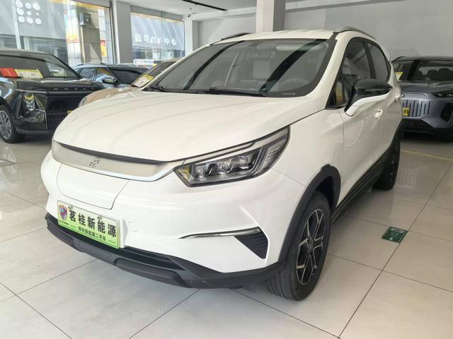 Yuan Pro 2021 One Life Edition