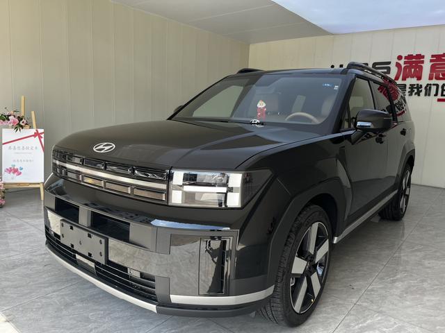 Shengda 2024 2.0T two-wheel drive Explorer Pro