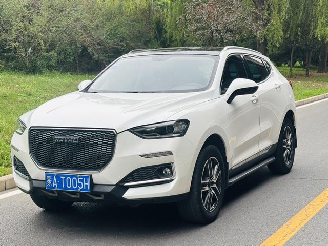 Haval F5 2019 National Tide Edition 1.5T i Cool National VI