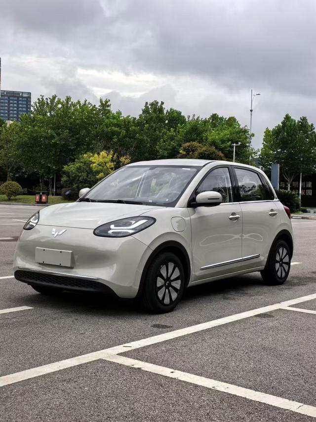 Wuling Bingguo 2025 Model 333KM Yuexiang Model