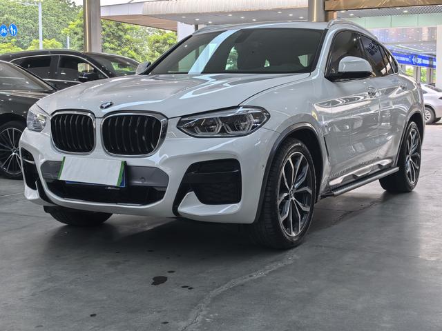 BMW X4 2019 xDrive25i M Crossover Package