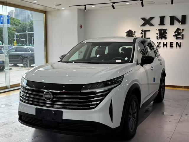 Tanlu 2024 380VC-TURBO two-wheel drive Zhiyue Edition seven-seater