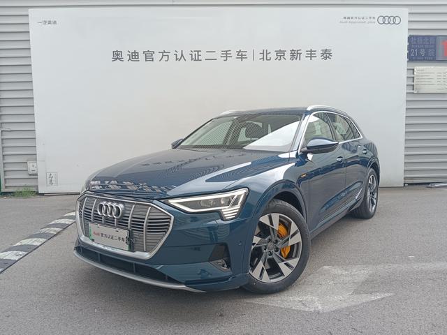 Audi e-tron (import) 2019 55 quattro stylish