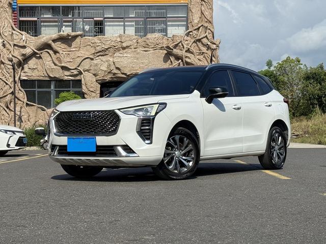 Harvard First Love 2021 1.5T Auto Big Two Edition