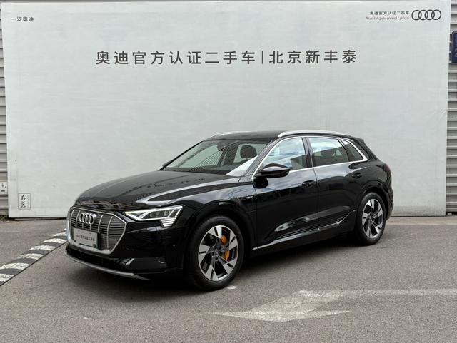 Audi e-tron (import) 2019 55 quattro stylish