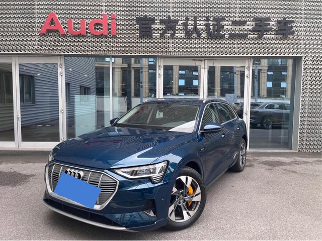 Audi e-tron (Import) 2019 55 quattro technology model year
