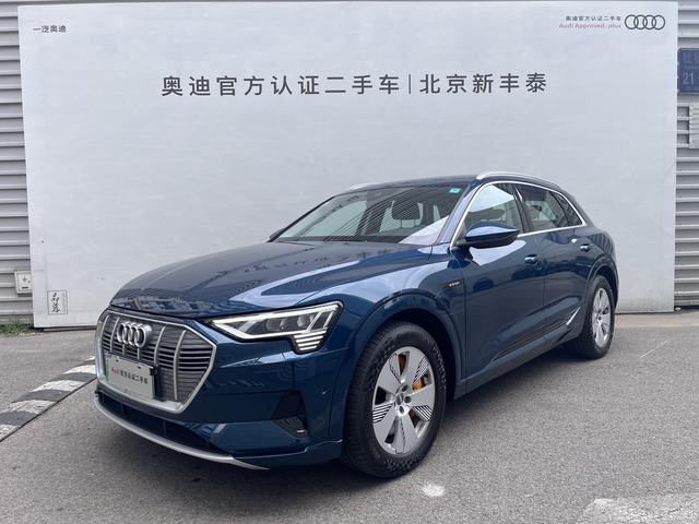 Audi e-tron (import) 2019 55 quattro stylish