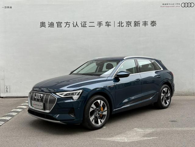 Audi e-tron (Import) 2019 55 quattro technology model year