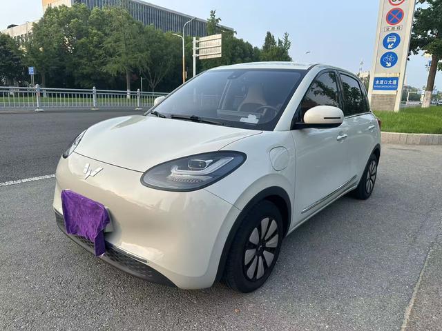 Wuling Colorado 2023 333KM Yuexiang Model