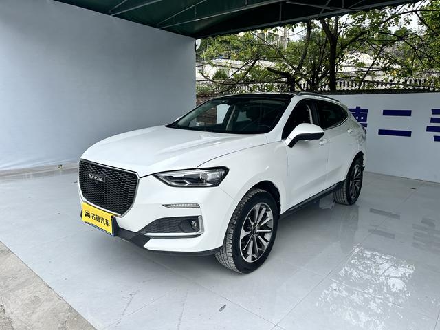 Haval F5 2019 National Tide Edition 1.5T i Tide National VI