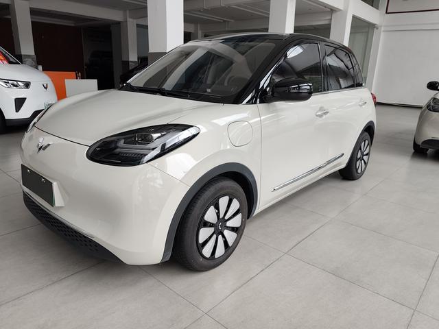 Wuling Bingguo 2024 Model 333KM Yuexiang Model