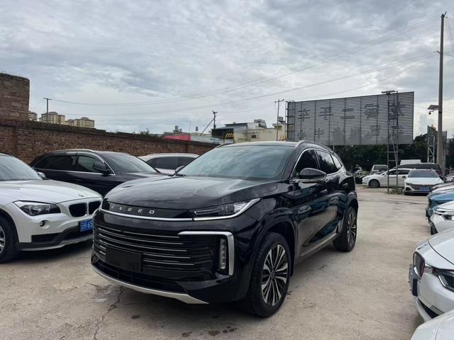 Xingtu Lingyun 2024 Lingyun 300T Two-wheel drive Star Edition