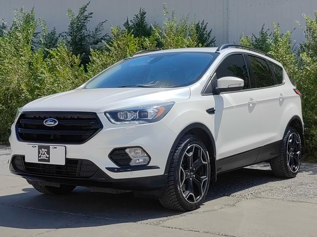 Wing Tiger 2019 EcoBoost 245 four-wheel drive sports Country V