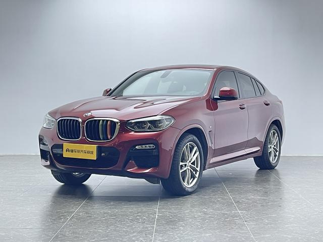 BMW X4 2019 xDrive25i M Sport Package