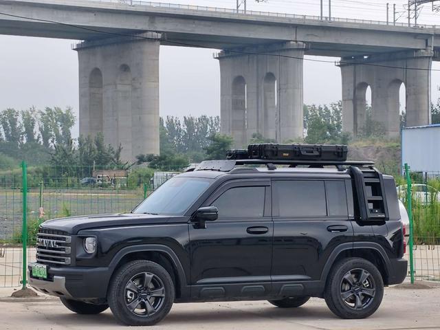 Harvard Raptors PHEV 2024 1.5T Hi4 102 Pro