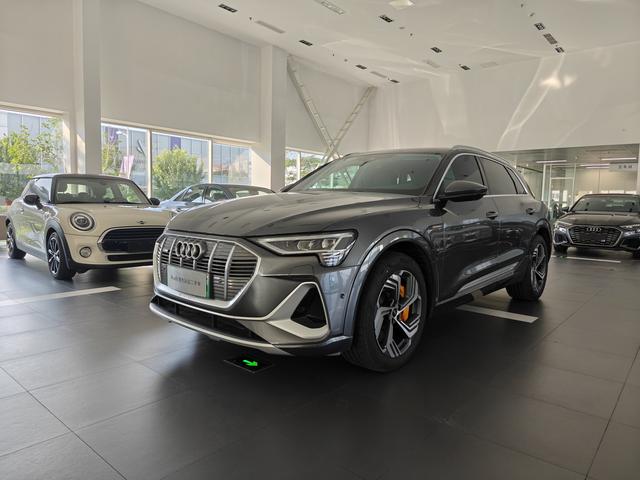 Audi e-tron 2021 50 quattro Pegasus