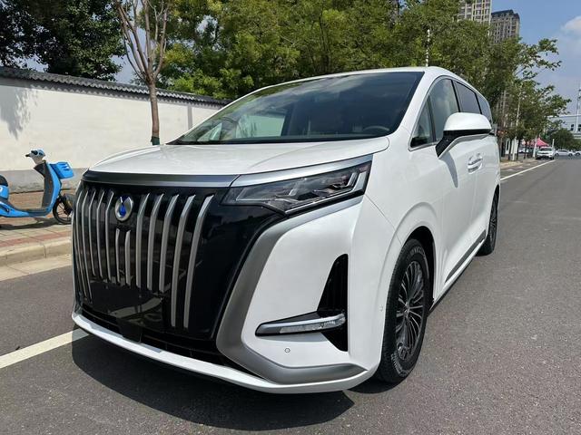 Tengsten D9 EV 2022 600 4WD Flagship