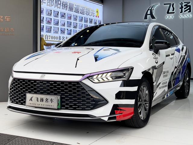 Qin PLUS DM 2024 Glory Version DM-i 55KM Leading Type
