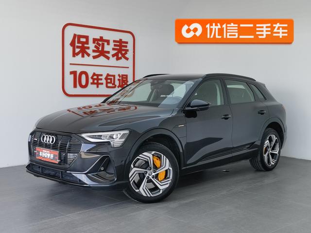 Audi e-tron 2021 50 quattro Pegasus