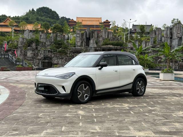 smart elf #1 model 2023 pro