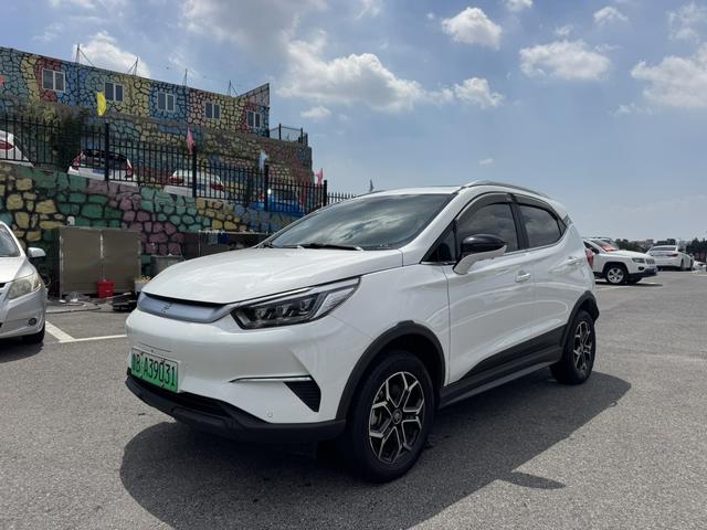 Yuan Pro 2021 401KM Premium