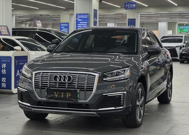 Audi Q2L e-tron 2019 Pure Electric Intelligence