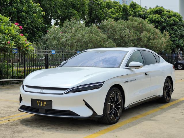 Han EV 2020 4WD Performance Edition Flagship