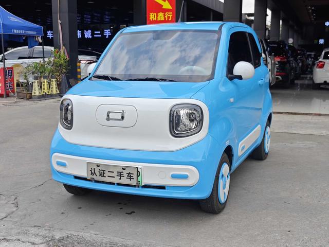 Pentium Pony 2024 170km Vitality Horse