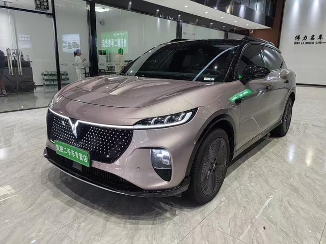Landu Soulmate 2024 Four-wheel drive Global Edition