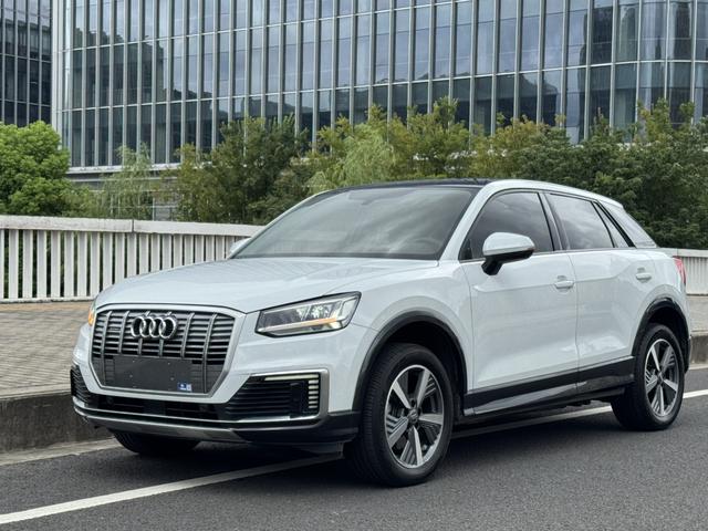 Audi Q2L e-tron 2019 Pure Electric Intelligence