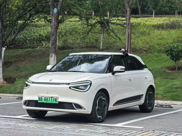 Nano 01 2024 model 330Lite