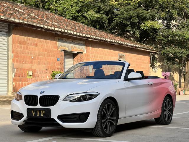 BMW 2 Series (imported) 2019 225i convertible coupe sports design set