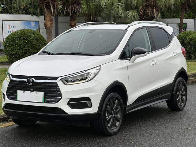 Yuan EV 2019 EV535 Intelligent Link Leader Model