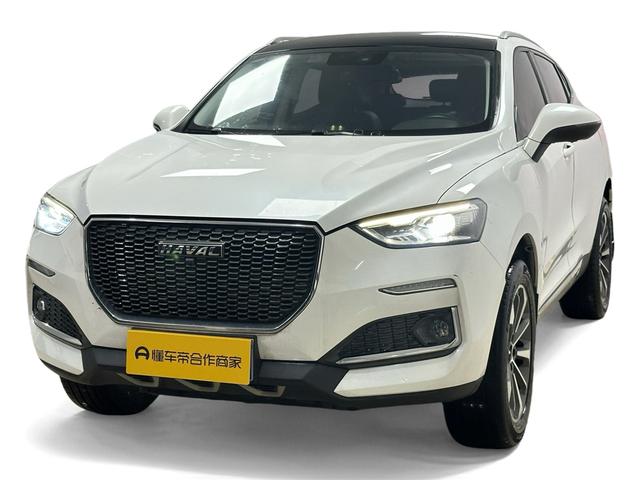 Haval F5 2019 National Tide Edition 1.5T i Tide National VI