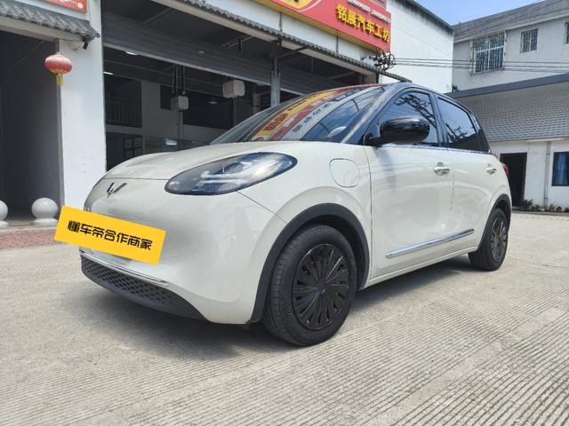 Wuling Colorado 2023 333KM Yuexiang Model